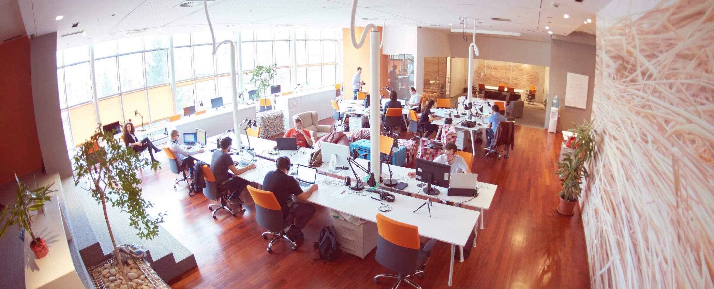 Herramientas de control presupuestario en acción